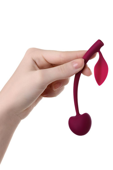 Бордовая вагинальная вишенка WILD CHERRY - 13 см. Бордовая вагинальная вишенка WILD CHERRY - 13 см.