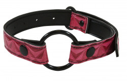 Розовый расширитель для рта Sinful O-Ring Mouth Gag 