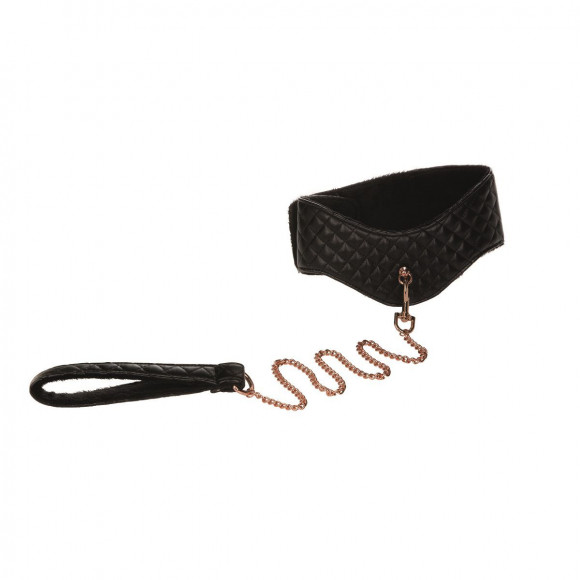 Ошейник с поводком Entice Posture Collar with Leash Ошейник с поводком Entice Posture Collar with Leash