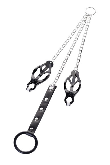 Черно-серебристые зажимы для сосков с кольцом для пениса TOYFA Metal Черно-серебристые зажимы для сосков с кольцом для пениса TOYFA Metal