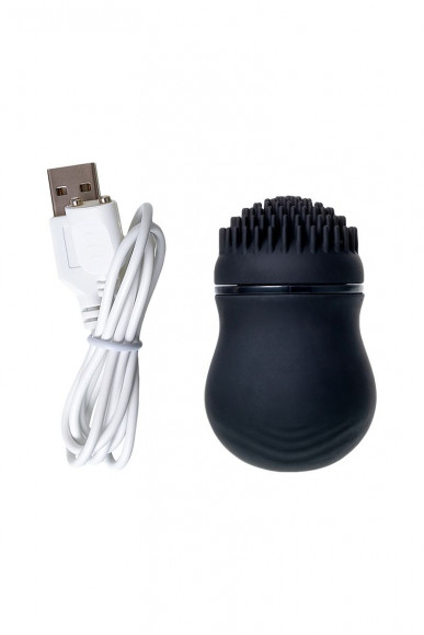 Черный стимулятор клитора PPP CURU-CURU BRUSH ROTER Черный стимулятор клитора PPP CURU-CURU BRUSH ROTER